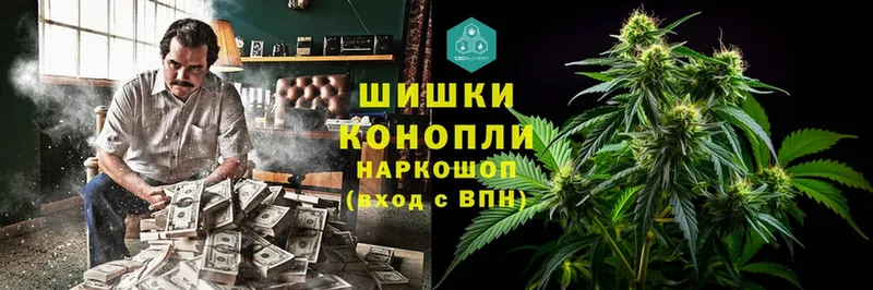 Конопля гибрид  где продают наркотики  Зерноград 